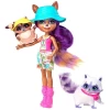 Enchantimals Raelin Raccoon Piknikte Oyun Seti