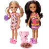 Barbie Chelsea Ve Arkadaşları Oyun Seti DYL40