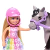 Barbie Chelsea Bebek ve Midilli Figür Seti HTK29
