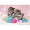 Clementoni Sweet Kittens Puzzle 104 Parça 27115