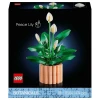 LEGO Botanicals Barış Çiçeği 11504