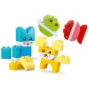 LEGO DUPLO İlk Yaratıcı Sevimli Hayvanlarım 10477
