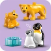 LEGO DUPLO Penguenler ve Aslanlar 10442