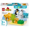 LEGO DUPLO Penguenler ve Aslanlar 10442