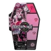 Monster High Gizemli Arkadaşlar Seri 2 HNF73 Draculaura