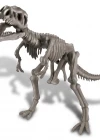 4M Tyrannosaurus Rex Arkeolojik Kazı Seti
