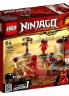 Lego Ninjago Monastery Training