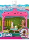 Barbie Chelsea Piknikte Oyun Seti FDB34