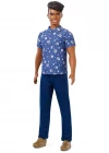 Barbie Yakışıklı Ken Bebekler FXL61