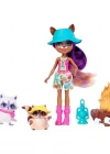 Enchantimals Raelin Raccoon Piknikte Oyun Seti
