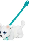 Pet Club Parade Köpek ve Taşıma Çantası