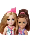 Barbie Chelsea Ve Arkadaşları Oyun Seti DYL41