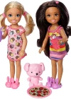 Barbie Chelsea Ve Arkadaşları Oyun Seti DYL40