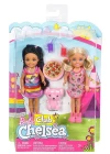 Barbie Chelsea Ve Arkadaşları Oyun Seti DYL40