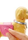 Barbie ve Tuvalet Eğitimindeki Köpeği Oyun Seti