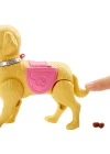Barbie ve Tuvalet Eğitimindeki Köpeği Oyun Seti