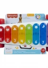 Fisher-Price Işıklı Dev Ksilofon