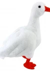Kaz 35 cm
