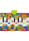 Playgro Işıklı Müzikli Piyanolu Oyun Matı