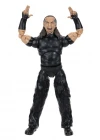 AEW Karakterleri Model Aksiyon Figürler S16 Matt Hardy 157