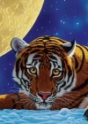 Art Puzzle Ay Kaplanı 500 Parça Puzzle