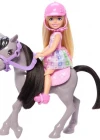 Barbie Chelsea Bebek ve Midilli Figür Seti HTK29