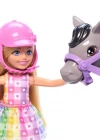 Barbie Chelsea Bebek ve Midilli Figür Seti HTK29