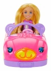 Barbie Chelseanin Ayıcık Temalı Arabası HXN05