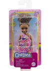 Barbie Chelsea ve Arkadaşları Aksesuarlı Bebek HGT07
