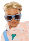 Barbie Dream Besties Ana Karakter Bebeği Ken JDD75