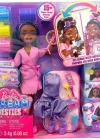 Barbie Dream Besties Brooklyn Bebek ve Aksesuarları JGG39