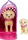 Barbie ve Köpekçikleri Oyun Seti