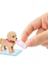 Barbie ve Köpekçikleri Oyun Seti