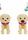 Barbie ve Köpekçikleri Oyun Seti HKD86