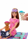 Barbie ve Köpekçikleri Pijama Partisi Oyun Seti HXN01