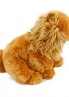 Chow Chow (Çin Aslanı) 28 cm