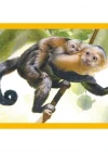 Clementoni Baby Cuddles Puzzle 4 in 1 21532
