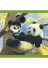 Clementoni Baby Cuddles Puzzle 4 in 1 21532