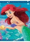 Clementoni Disney Prenses Puzzle 3x48 Parça 25304