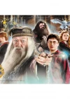 Clementoni Harry Potter Puzzle 104 Parça 27264