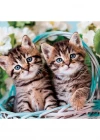 Clementoni Lovely Kitty Twins Puzzle 60 Parça 26599