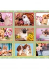 Clementoni Puppies Collage Puzzle 180 Parça 29788