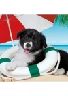 Clementoni Sunny Beach Puzzle 104 Parça 25741