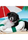 Clementoni Sunny Beach Puzzle 104 Parça 25767