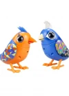 Digibirds İkili Paket Seri 1