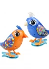 Digibirds İkili Paket Seri 1