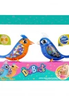 Digibirds İkili Paket Seri 1