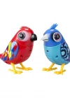 Digibirds İkili Paket Seri 2
