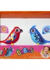 Digibirds İkili Paket Seri 2