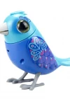 Digibirds Tekli Paket Seri 1 - Model 1